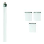 Mehrfachpackung 25x Philips T5 Short 13W - 640 Kaltweiß | 52cm