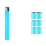 Mehrfachpackung 25x Philips MASTER TL-D 36W - Blau | 120cm