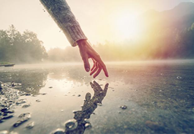 Wie wirkt sich Licht auf unseren Organismus aus?