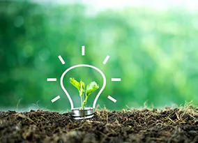 nachhaltige LED-Beleuchtung ist gr&uuml;n